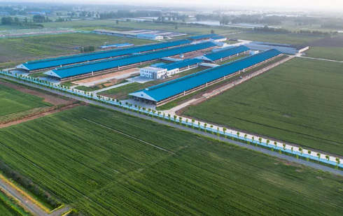 山東得益第三牧場